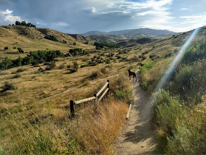 10 best dog parks in boise