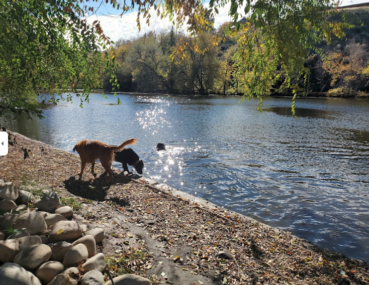 10 best dog parks in boise